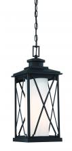 Outdoor Foyer/Hall Lanterns