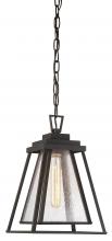 Minka-Lavery 73114-226 - 1 LIGHT CHAIN HUNG