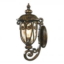 ELK Home Plus 45070/1 - EXTERIOR WALL SCONCE