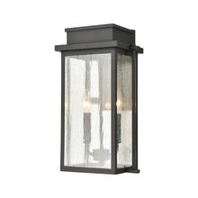 ELK Home Plus 45441/2 - SCONCE