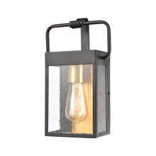 ELK Home Plus 46680/1 - SCONCE