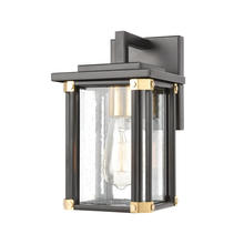 ELK Home Plus 46720/1 - SCONCE