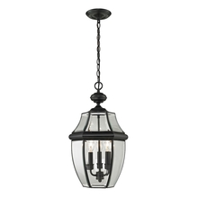 ELK Home Plus 8603EH/60 - Thomas - Ashford 12'' Wide 3-Light Outdoor Pendant - Black