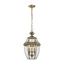 ELK Home Plus 8603EH/89 - Thomas - Ashford 12'' Wide 3-Light Outdoor Pendant - Antique Brass