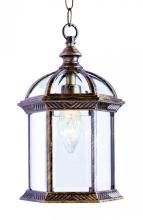 Trans Globe 4183 WH - Wentworth 1-Light Atrium Style Outdoor Hanging Pendant