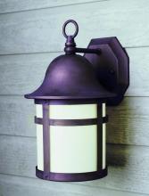 Trans Globe 4581 WB - Thomas 16" Wall Lantern