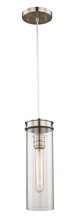 Trans Globe PND-2046 BN - Lightfair 1-Light, Elongated Cylindrical Clear Glass, Mini Pendant