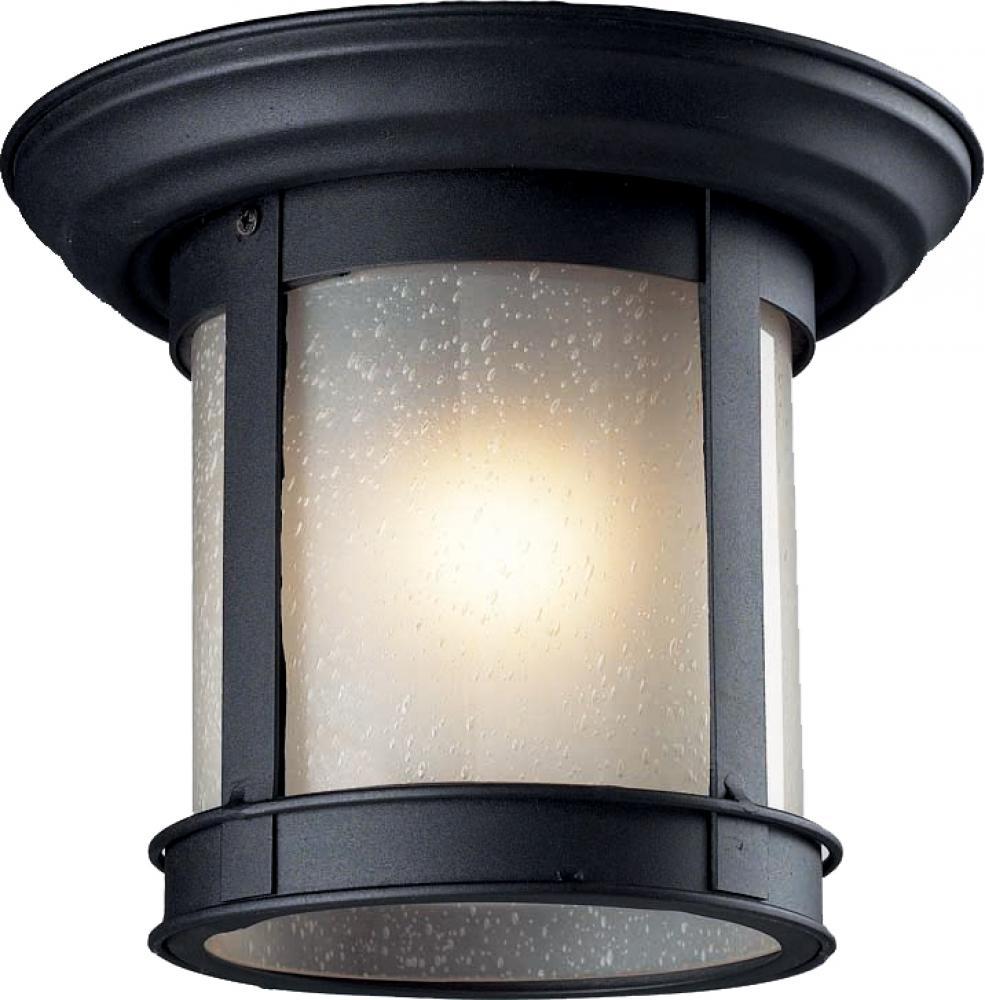 1 Light Outdoor Flush Mount