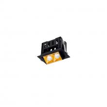 WAC Canada R1GAT02-F930-GLBK - Multi Stealth Adjustable Trim 2 Cell