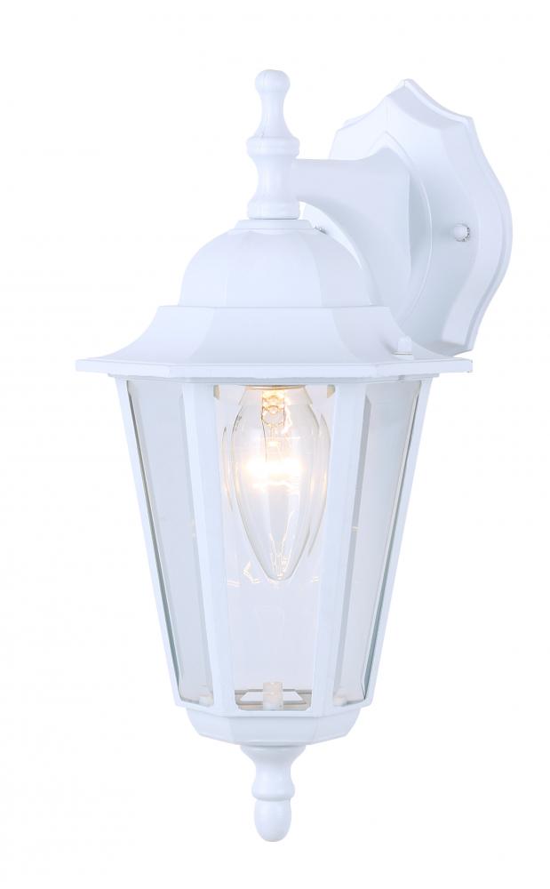 Outdoor 1 Light Outdoor Lantern, White Finish