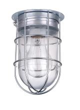 Canarm BL04CWG - Barn Lighting, Ceiling/Wall Mounting (with Guard), A19 Bulb, 100 Watts, 4 1/2" x 7"