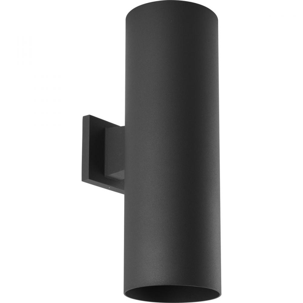 P560292-031 WET LOC 2-250W QPAR-38 WALL