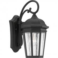 Progress P560014-031 - P560014-031 1-100W MED WALL LANTERN