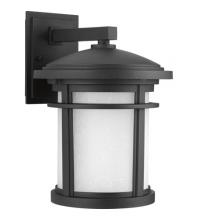 Progress P6085-31 - P6085-31 MED WALL LANTERN