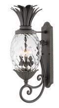 Hinkley Canada 2124MB - Large Wall Mount Lantern