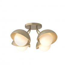 Hubbardton Forge - Canada 121375-SKT-84-84-GG0711 - Brooklyn 4-Light Single Shade Semi-Flush