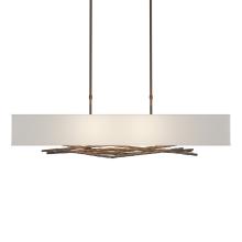 Hubbardton Forge - Canada 137660-SKT-SHRT-05-SJ4298 - Brindille Pendant