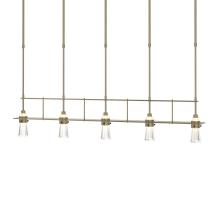 Hubbardton Forge - Canada 137725-SKT-SHRT-84-ZM0343 - Erlenmeyer 5 Light Pendant