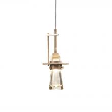 Hubbardton Forge - Canada 161060-SKT-STND-84-ZM0343 - Erlenmeyer Low Voltage Mini Pendant