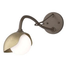 Hubbardton Forge - Canada 201376-SKT-05-84-GG0711 - Brooklyn 1-Light Single Shade Long-Arm Sconce