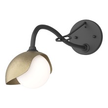 Hubbardton Forge - Canada 201376-SKT-10-84-GG0711 - Brooklyn 1-Light Single Shade Long-Arm Sconce