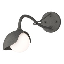 Hubbardton Forge - Canada 201376-SKT-20-20-GG0711 - Brooklyn 1-Light Single Shade Long-Arm Sconce