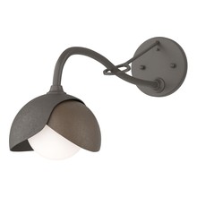 Hubbardton Forge - Canada 201377-SKT-07-05-GG0711 - Brooklyn 1-Light Double Shade Long-Arm Sconce