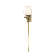 Hubbardton Forge - Canada 204710-SKT-LFT-86-GG0236 - Antasia Single Glass 1 Light Sconce