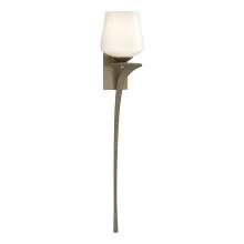 Hubbardton Forge - Canada 204710-SKT-RGT-84-GG0236 - Antasia Single Glass 1 Light Sconce