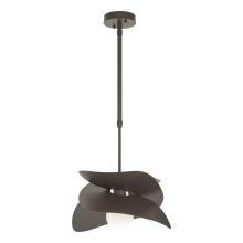 Hubbardton Forge - Canada 369455-SKT-STND-77 - Hibiscus Outdoor Pendant