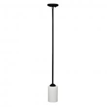 Russell Lighting 229-601/ST - Iris Pendants Black