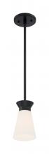 Nuvo 60/7314 - Caleta - 1 Light Mini Pendant with Cylindrical Glass - Black Finish